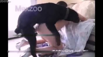 Dark-haired lady with firm tits gets pounded doggy style