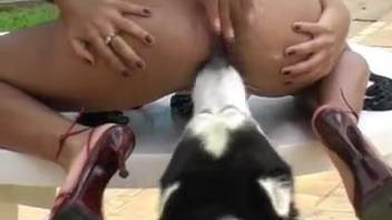 Wild outdoor sex party with stunning Latina babes