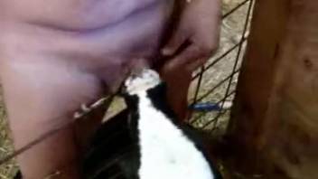Horny dude deepthroating a super alluring heifer