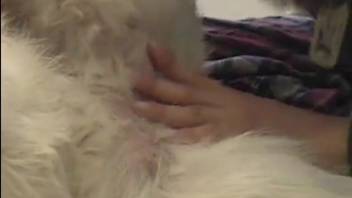 Guy with a terrible haircut banging a seductive canine