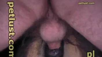 Attentive guy licks and drills a mare's leaking pussy