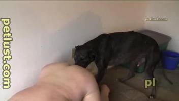 Dude gets ass-fucked by his gay black dog on cam