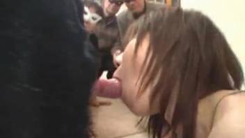 HD Collection of the Steamiest Japanese Adult Bestiality Scenes