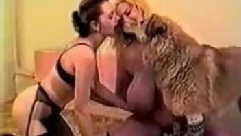 Blond-haired beauty with a hairy pussy fucked silly