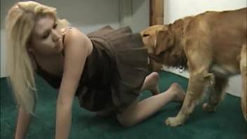 Fantastic adult film featuring a blonde bestiality enthusiast woman