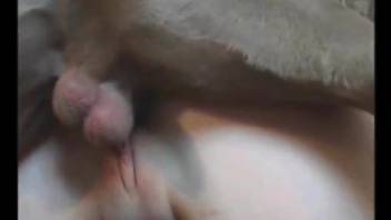 Ponytailed amateur getting fucked by a kinky dog