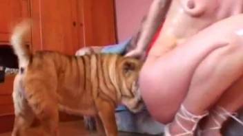 Blonde amateur milf tapes when sucking a dog dick