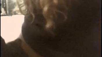 Intense beastly encounter with perverted sluts