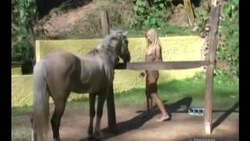 Tanned blonde shows off in pure scenes of horse zoophilia