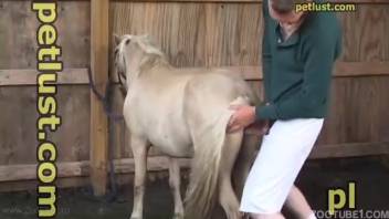 Dude strips down to anally penetrate the horse in fetishistic scenarios.