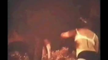 Lady toys with a bull's dick before sampling it a bit