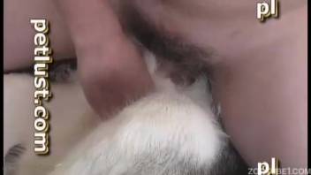 Guy and canine in intense homemade bestiality footage on camera