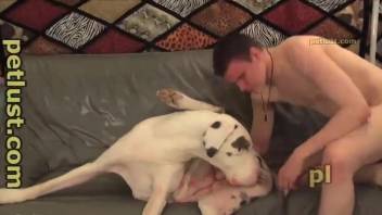 Cutest white doggy with grey spots in awesome homemade zoo sex