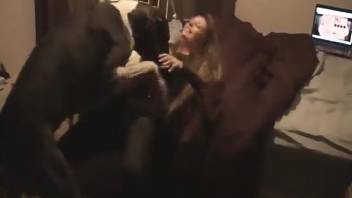 Incredibly trained Doberman screwed my wife in the missionary position