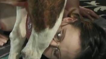 Bitch with glasses gags with the dog cock in her mouth