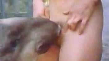 Classic porn with animals showing milfs enduring big cocks