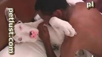 Black dude ass fucks his dog and cums on its fur