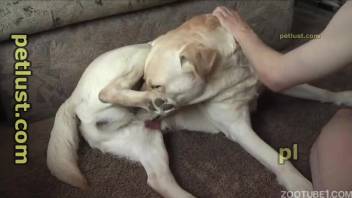 Lustful guy really desires to passionately kiss his own dog