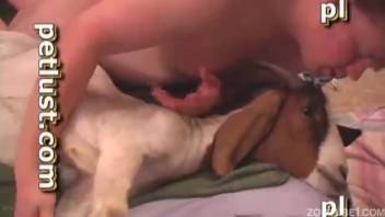Novice guy roughly screws a female goat in intense ways and pumps it full of cum