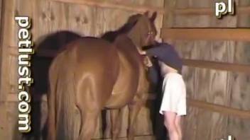 Farmer sticks his loaded boner in a tight ass of a horse