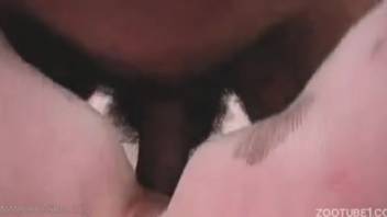 African American guy penetrates his female dog in both openings during a home audition