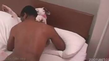 African American man with huge cock fucks his white dog