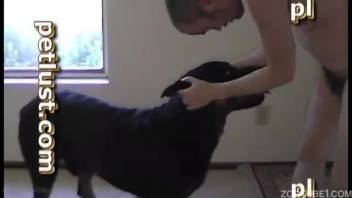 Aroused guy enjoys the sensation of a dog's dick gliding into his mouth