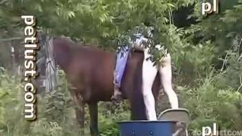 Aroused novice guy blows the stallion's dick prior to banging the beast