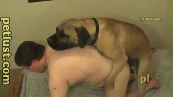 Horny dude chokes with the dog's cock before trying anal