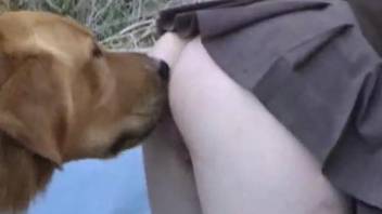 Gorgeous blonde in miniskirt is sucking a dick and fucking with a dog