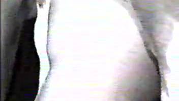 Stallion wrecked guy's butt in savage bestiality webcam footage