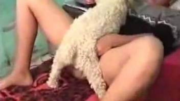 Furry mutt helps his master with her solo masturbation show