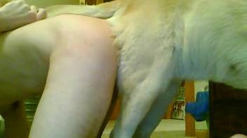 Aroused bitch satisfies her owner with expert anal teasing