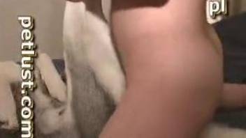 Innocent-looking Husky gets anally fucked by perverted zoophile