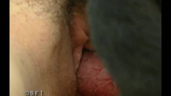 Bushy pussy beast lover mounting a massive canine cock on webcam
