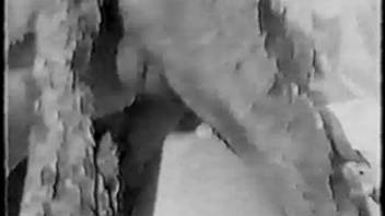 A dog pounds a voluptuous woman with a large backside in her vagina and floods her with semen