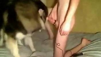 Homemade dog porn in the bedroom with a naked gay lover
