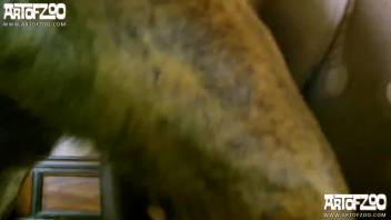 Mature woman lets the dog lick and penetrate her via the nylons
