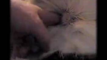 Homemade adult video featuring a fluffy canine for a horny novice guy
