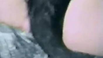 Classic adult woman recorded achieving climax in canine erotica