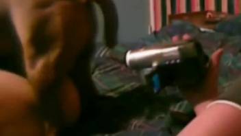 Savage pitbull bangs my thick-assed babe doggy style
