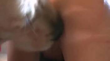 Older woman enjoys the sensation of a dog licking and penetrating her vagina
