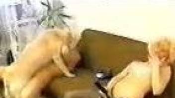 Stockings-wearing blonde watches her GF fuck a dog