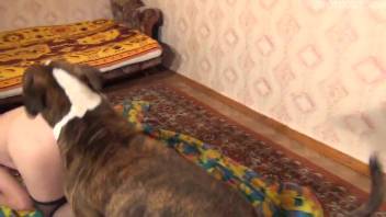 Russian dark-haired beauty orgasms in intense animal sex