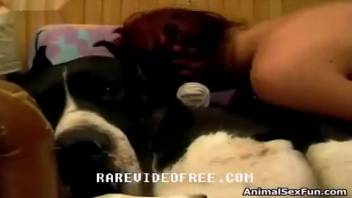 Novice lady indulges in canine companionship for multiple sessions of solitary bestiality at home