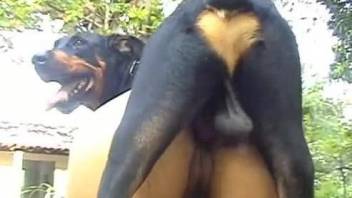Extremely sexy Latina with big ass likes her doberman