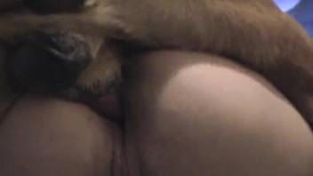 Leather pants MILF getting fucked deep by a dog