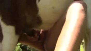 Outdoor sex with animals for bitches with insane lust for porn