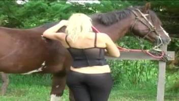 Masturbating blondie fucks her ass and sucks big cock of a horse