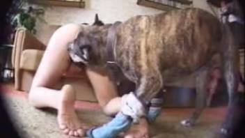 Pregnant whore savors the full length of a dog's penis bringing her pleasure in various erotic ways